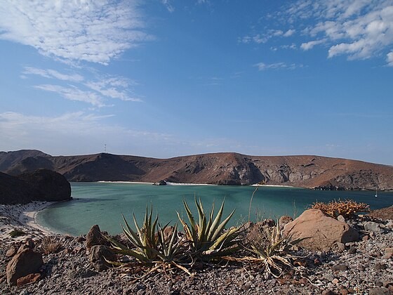 Enjoy Balandra Beach